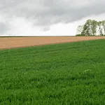 In Near Limburg Hills בית נופש Ubachsberg