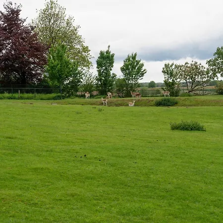 Casa vacanze In Near Limburg Hills Ubachsberg