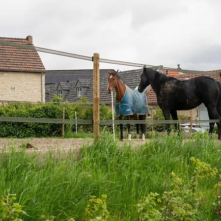 In Near Limburg Hills Casa vacanze