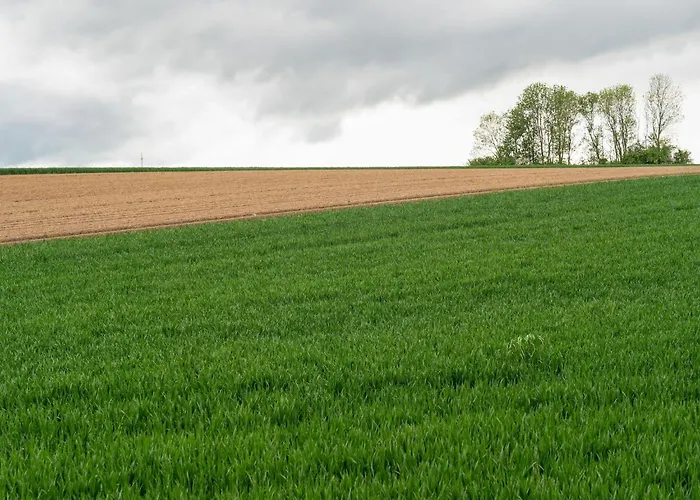 In Near Limburg Hills Дом отдыха Ubachsberg